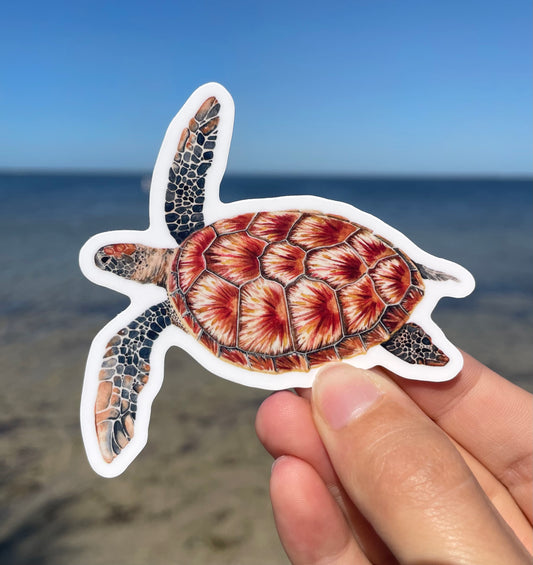 Green Sea Turtle Waterproof Sticker