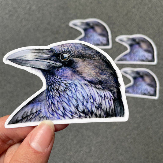 American Crow Waterproof Sticker