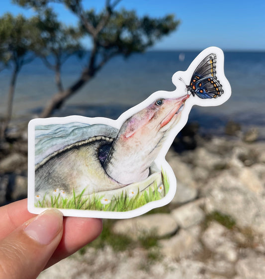 Florida Softshell Turtle Waterproof Sticker