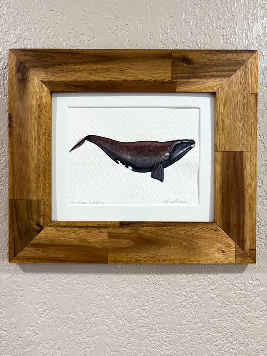North Atlantic Right Whale Mini Original Watercolor Painting