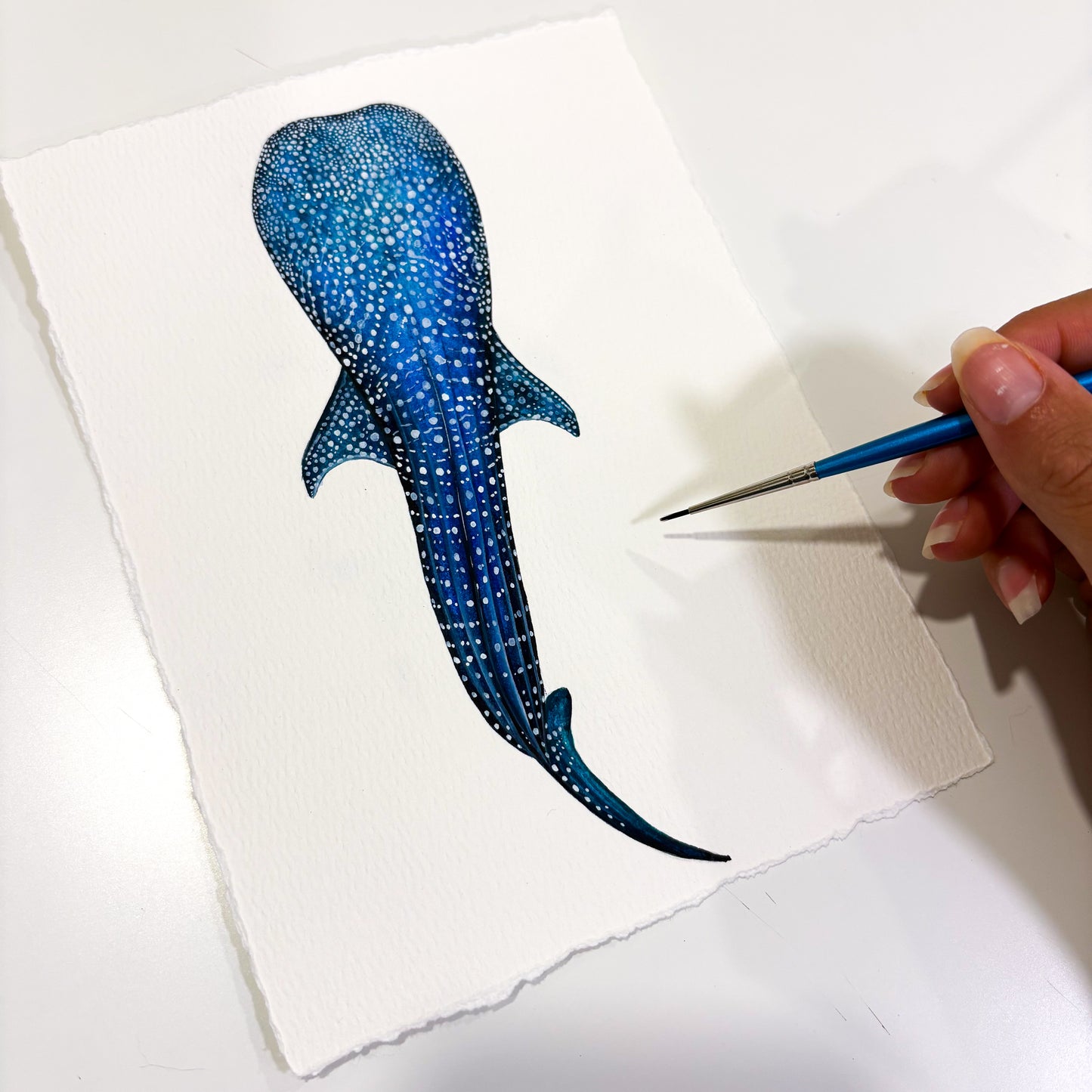 Whale Shark Mini Original Watercolor Painting