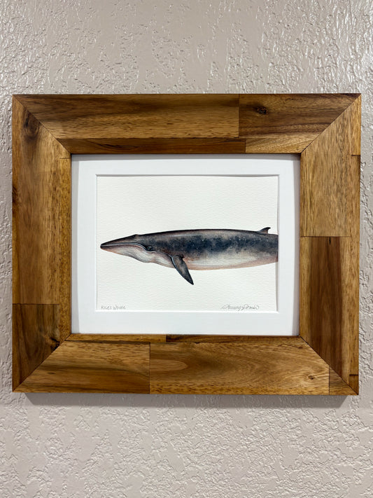 Rice's Whale Mini Original Watercolor Painting