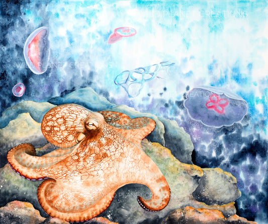 "Remarkably Bright" Limited Edition Fine Art Print