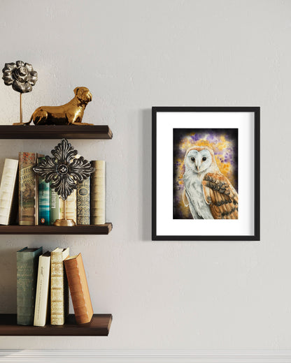 Barn Owl Print