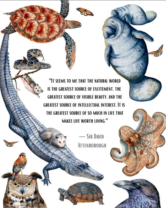 Earth Month Conservationist Quote Prints