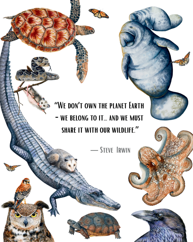 Earth Month Conservationist Quote Prints