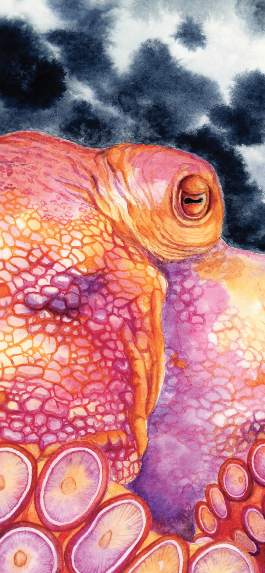 Giant Pacific Octopus Original Watercolor Painting