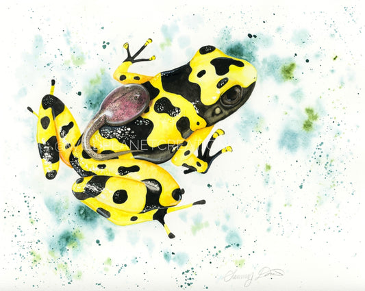 Poison Dart Frog Original Watercolor Painting