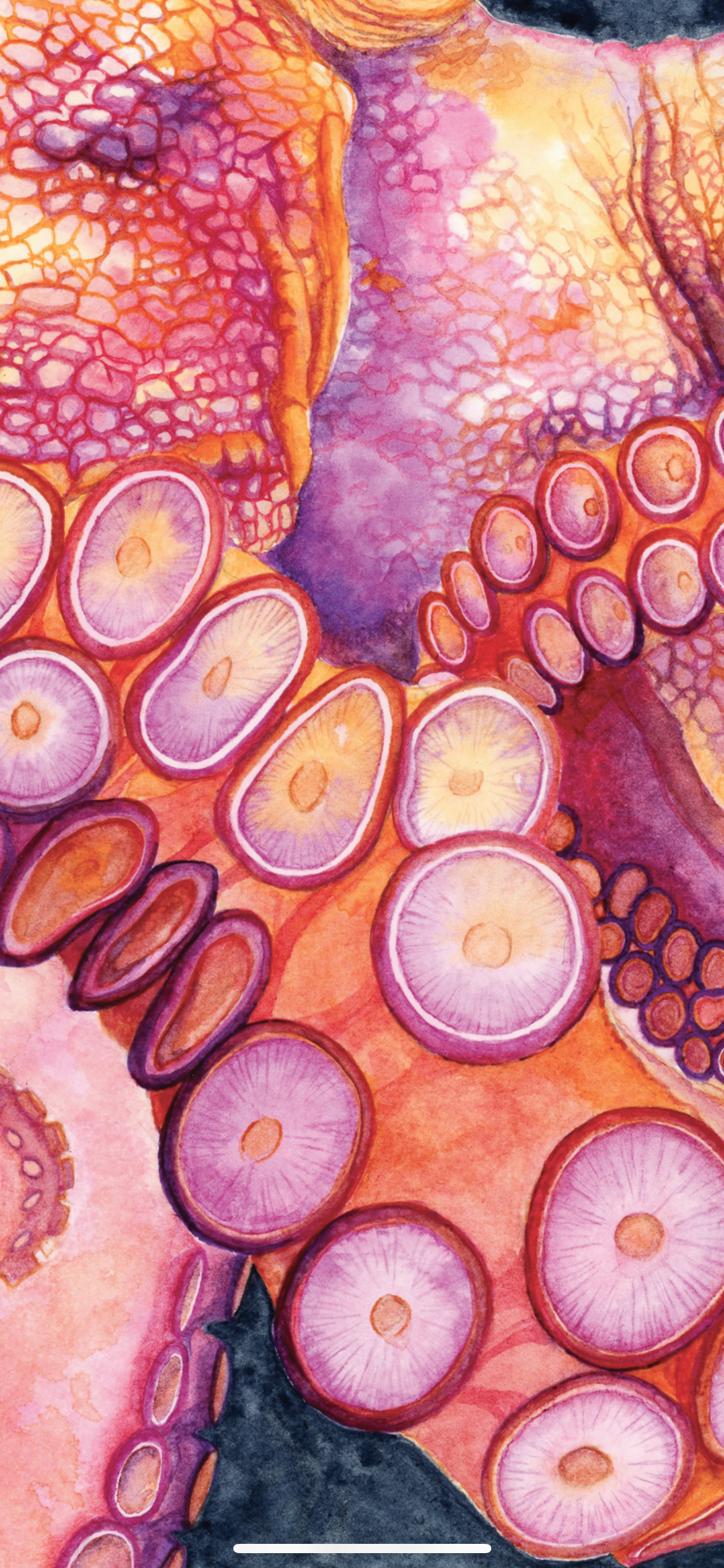 Giant Pacific Octopus Original Watercolor Painting