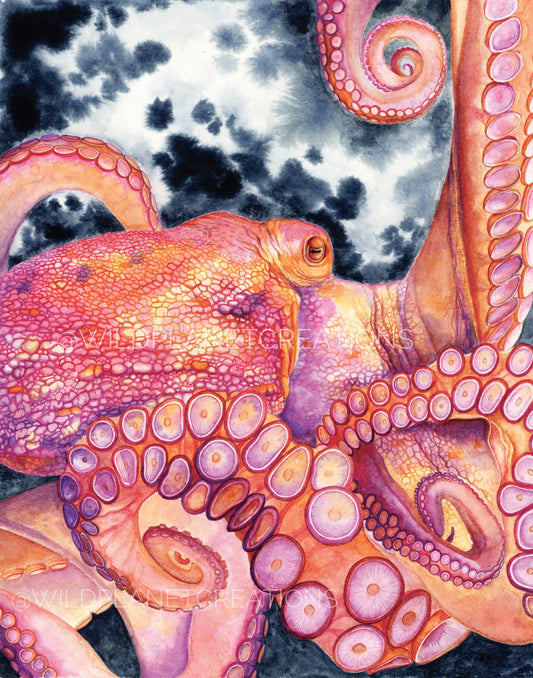 Giant Pacific Octopus Original Watercolor Painting