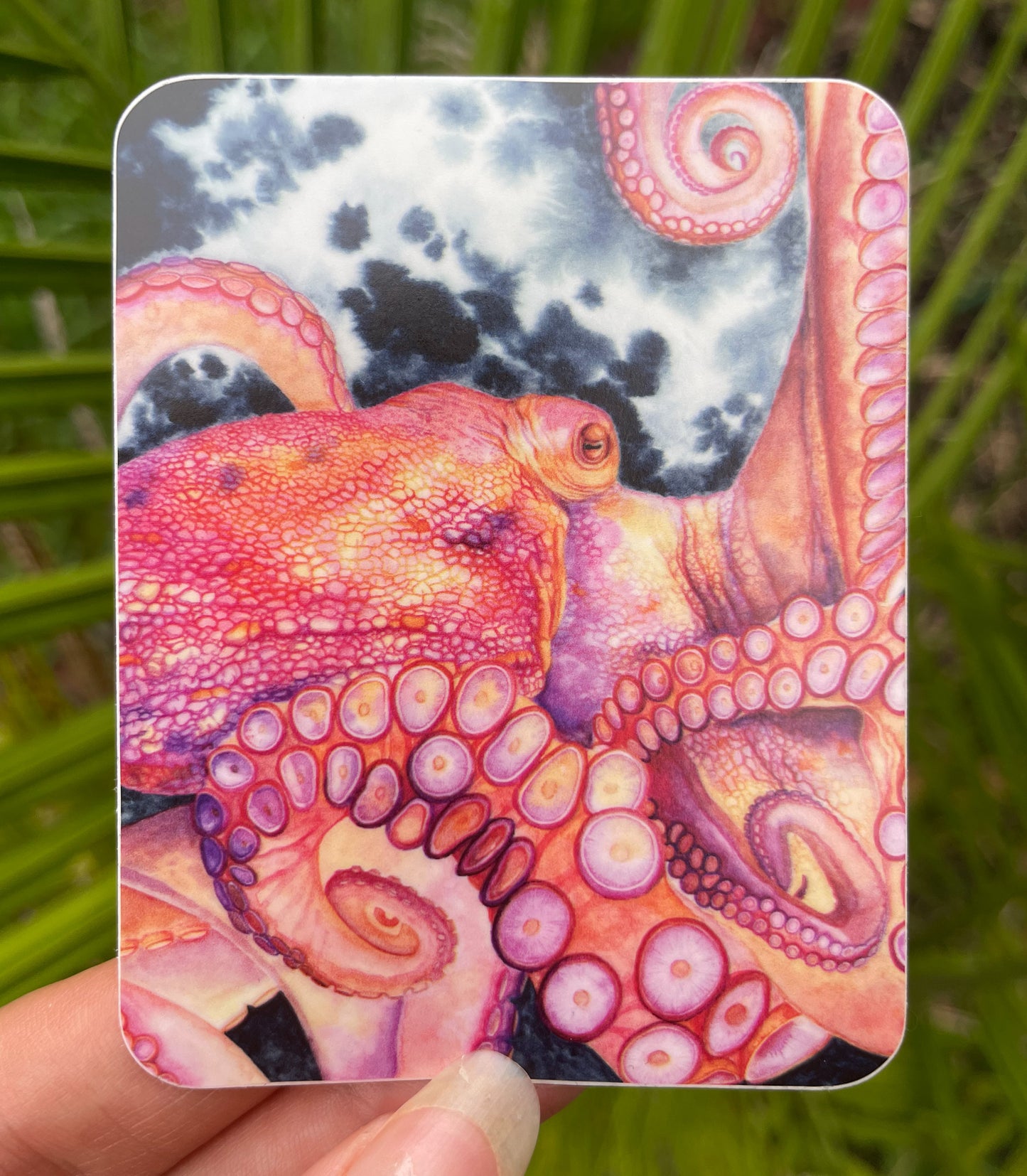 Giant Pacific Octopus Waterproof Sticker