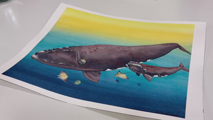 Right Whale "Our Rights" Original Watercolor Painting