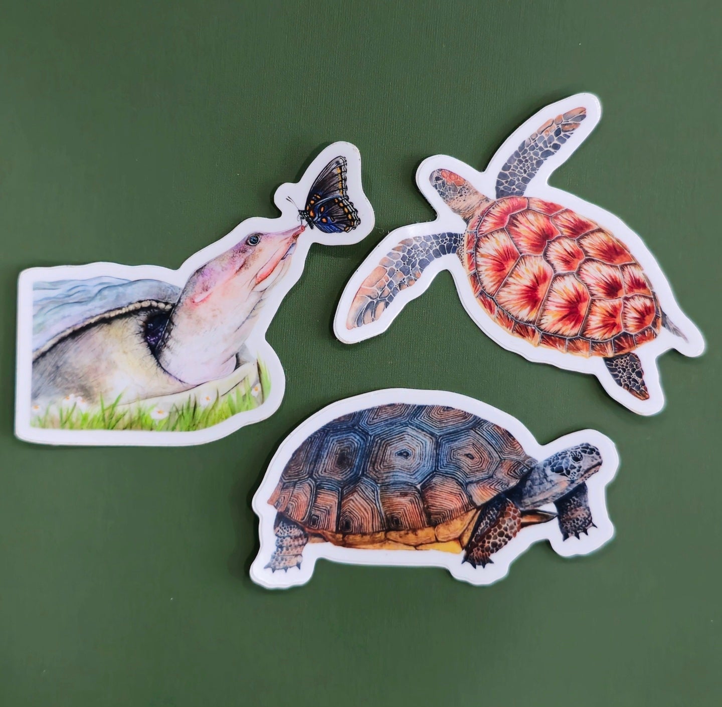 Turtle Half-Price Holiday Gift Set