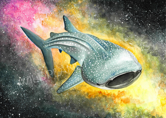 This image depicts the original watercolor painting of a whale shark, and is a part of the Wild Planet Creations collection