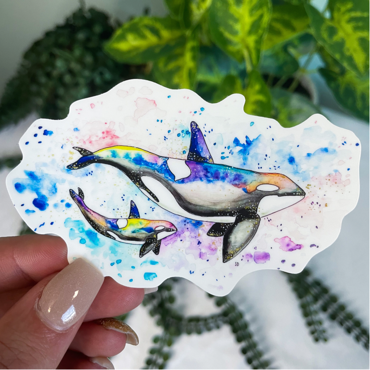 A close-up image of the waterproof, vinyl, dye-cut sticker depicting a watercolor painting from the Wild Planet Creations wild animal collection of rainbow orcas (mother and calf).