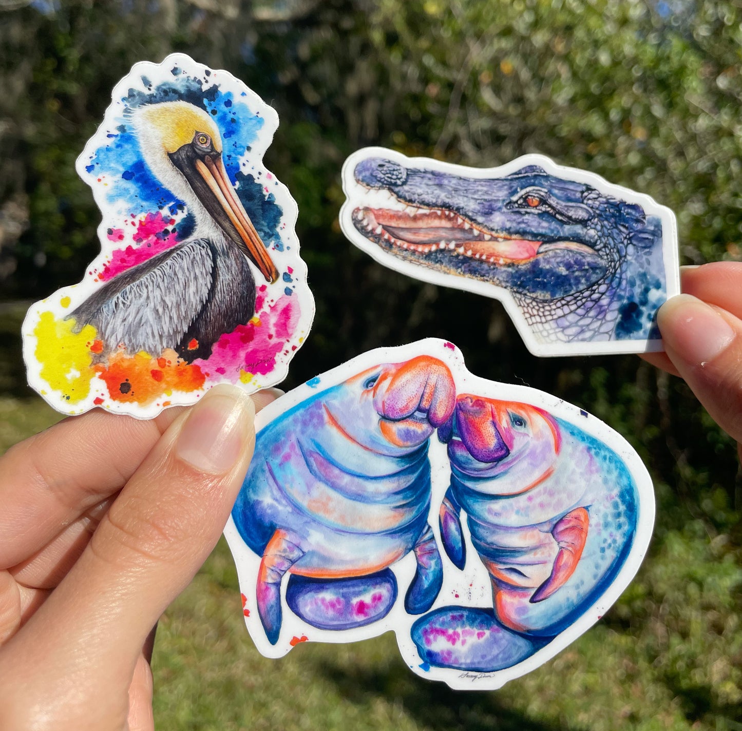 Florida Animal Sticker Bundle Set