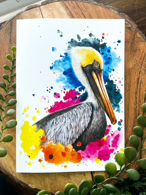 Animal Bundle Pack - Brown Pelican