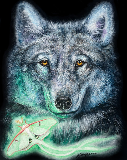 Gray Wolf Print
