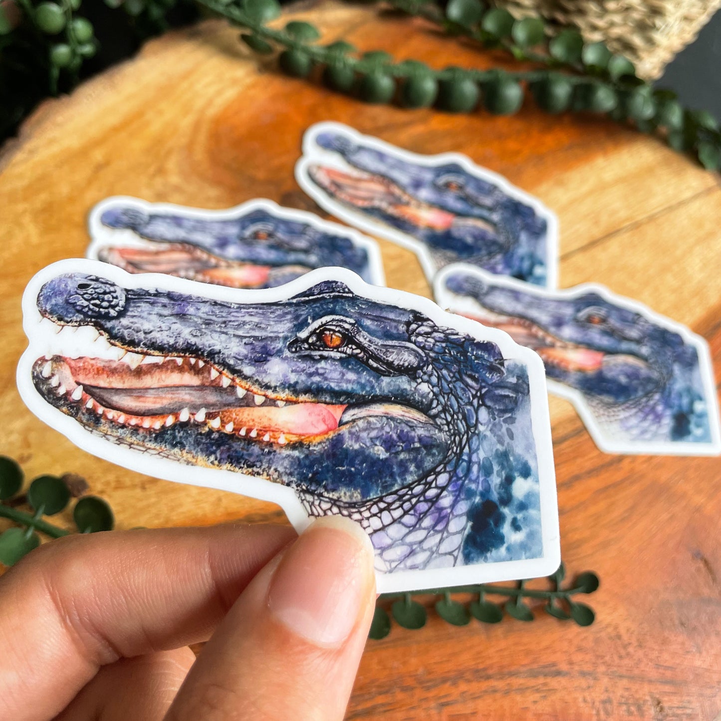 A close-up image of the waterproof, vinyl, dye-cut sticker depicting a watercolor painting from the Wild Planet Creations collection of an American alligator.