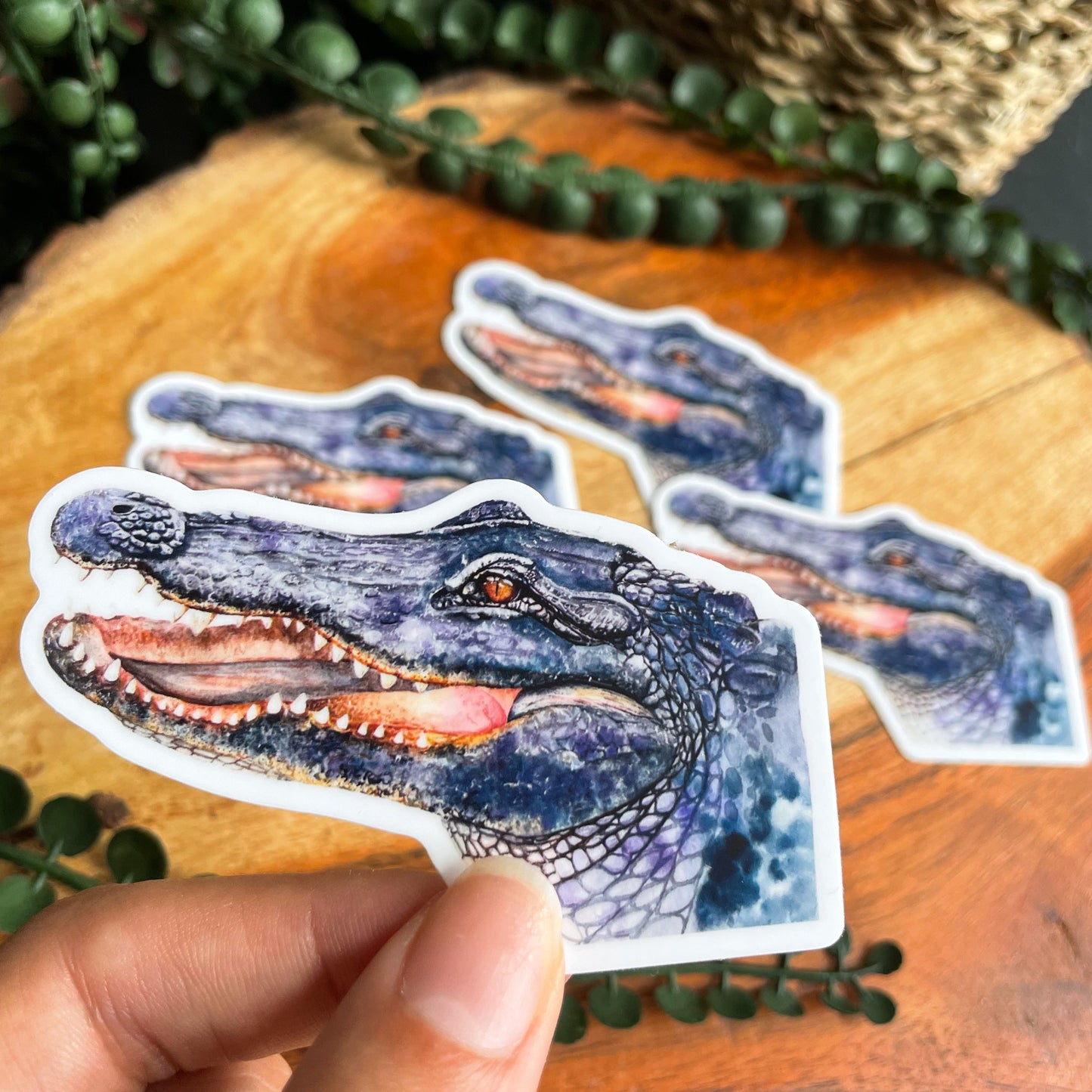 Florida Animal Sticker Bundle Set