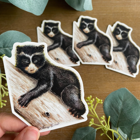 A close-up image of the waterproof, vinyl, dye-cut sticker depicting a watercolor painting from the Wild Planet Creations collection of an Andean bear cub.