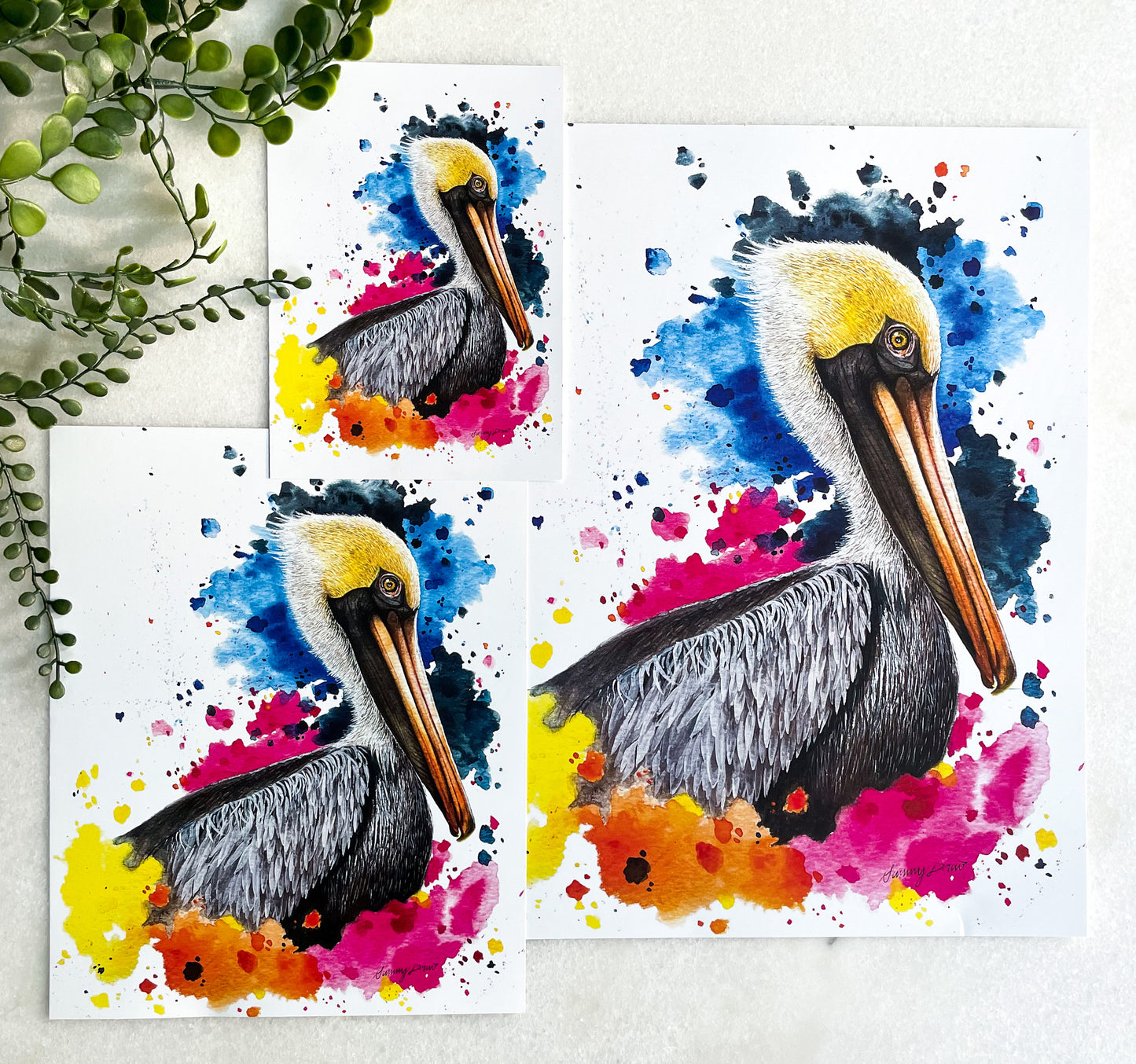 Three different size options for the brown pelican watercolor painting art print. Each print is made on high-quality, 100 pound, glossy paper and displays excellent color vibrancy.