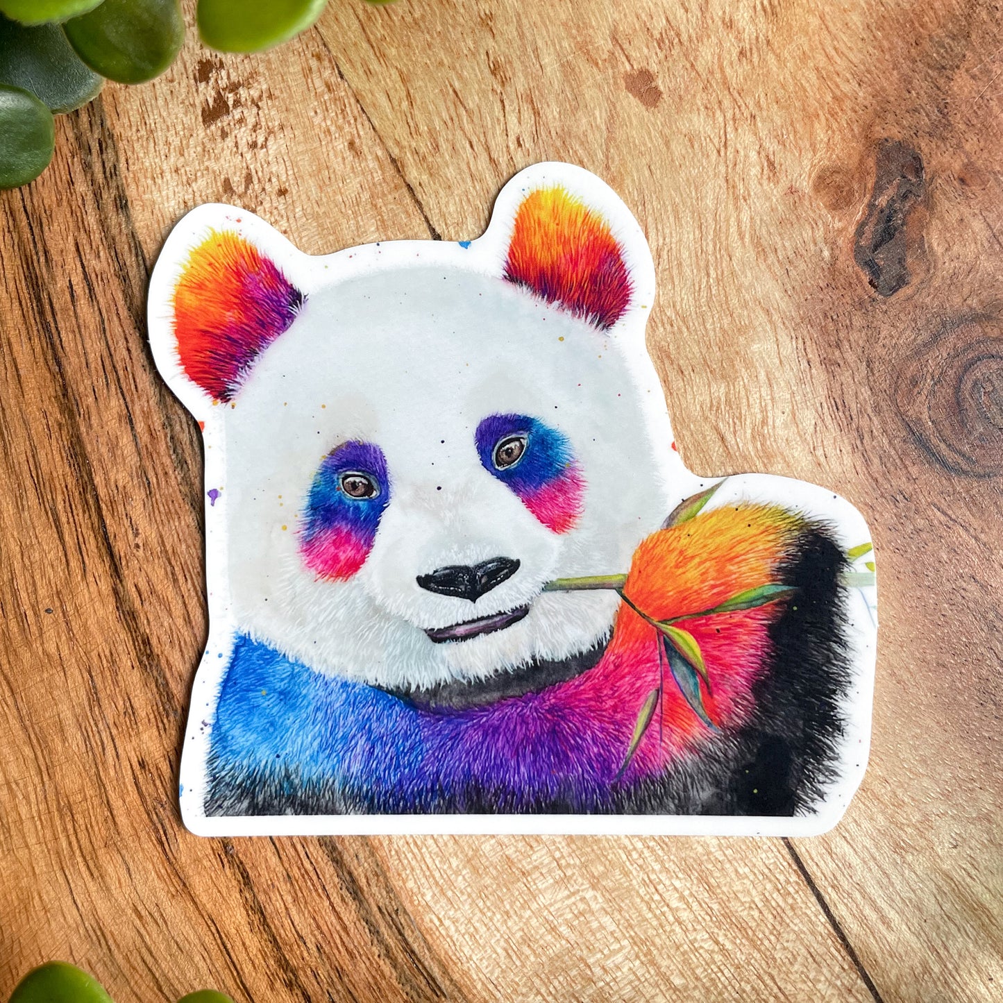 A close-up image of the waterproof, vinyl, dye-cut sticker depicting a watercolor painting from the Wild Planet Creations wild animal collection of a giant panda.