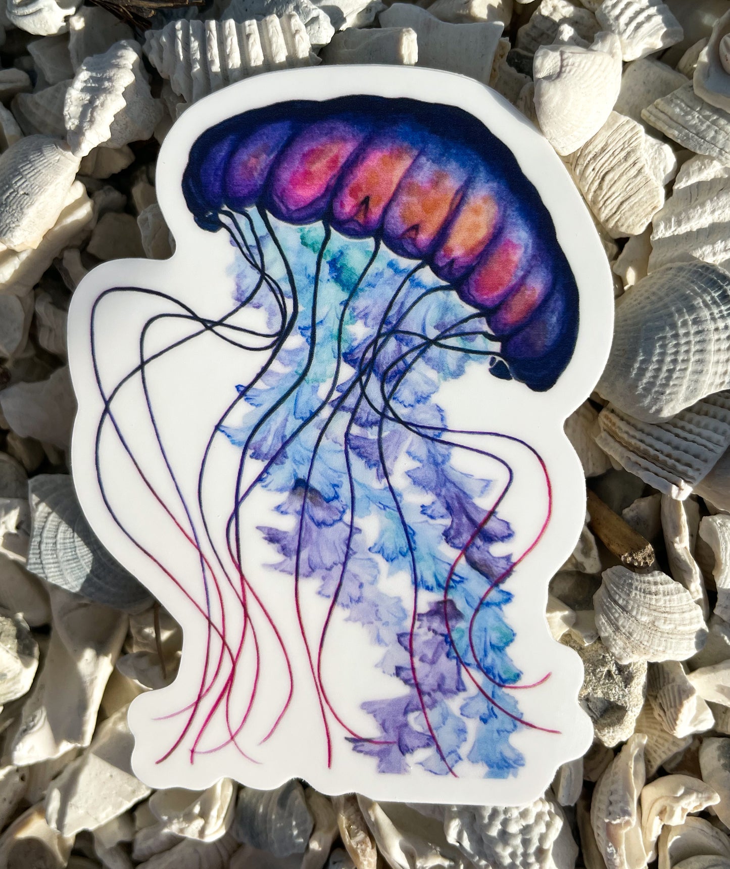 Jellyfish Waterproof Sticker
