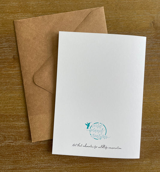 Depicting the back of each greeting card as well as the eco-friendly envelope.