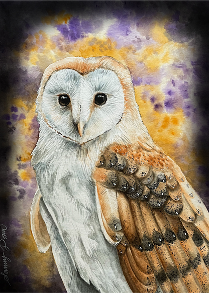 Barn Owl Print