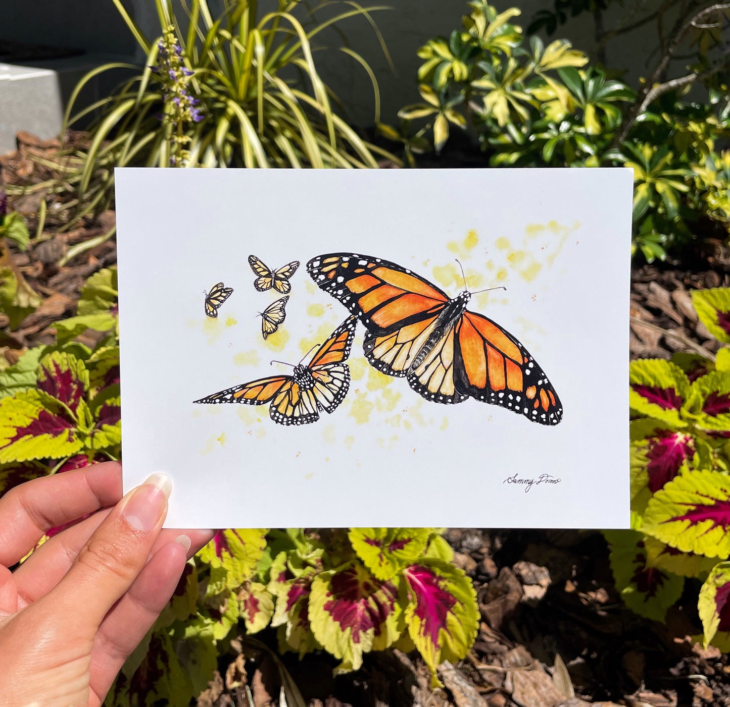 Monarch Butterfly Art Print