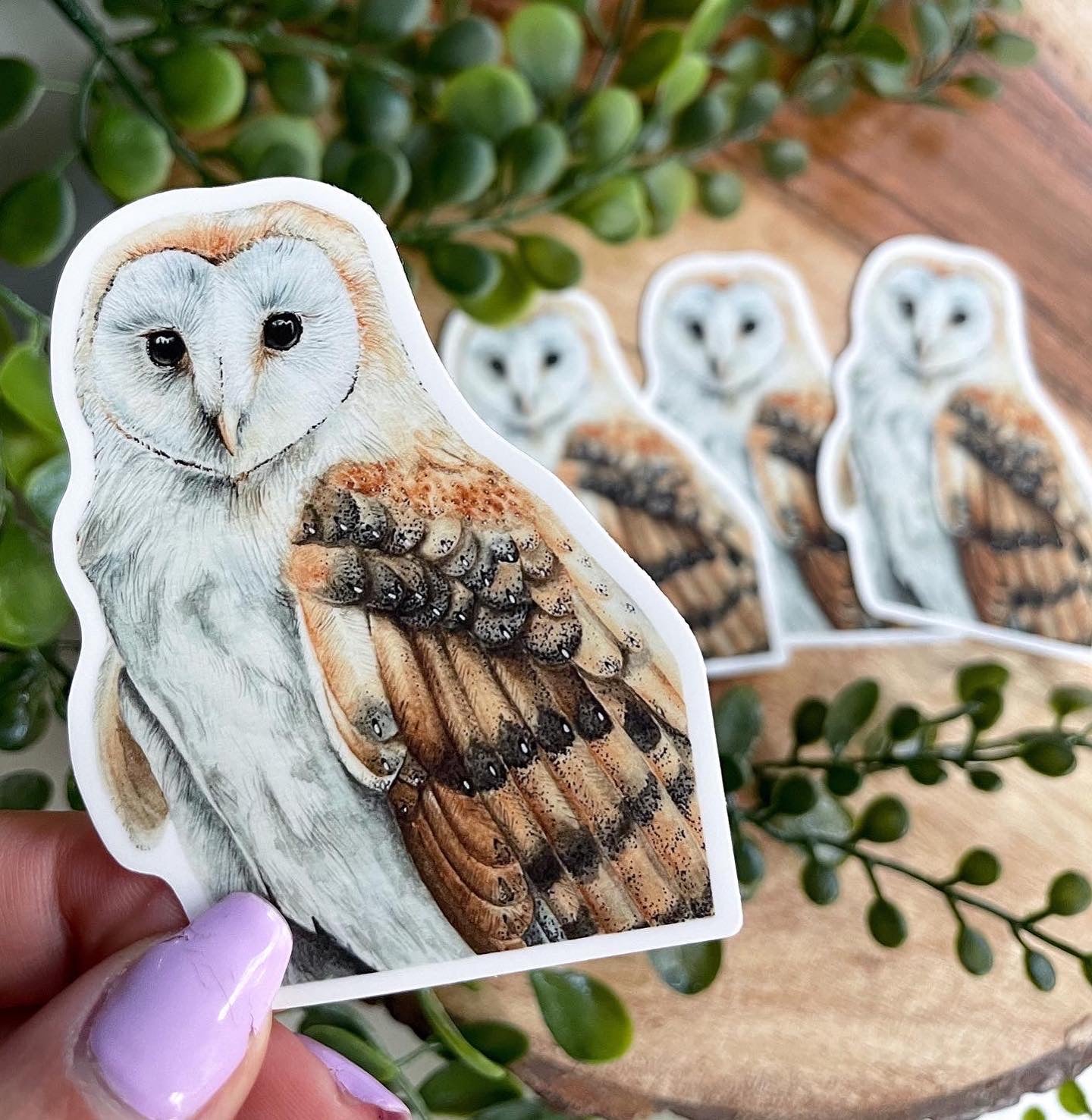 Barn Owl Waterproof Sticker