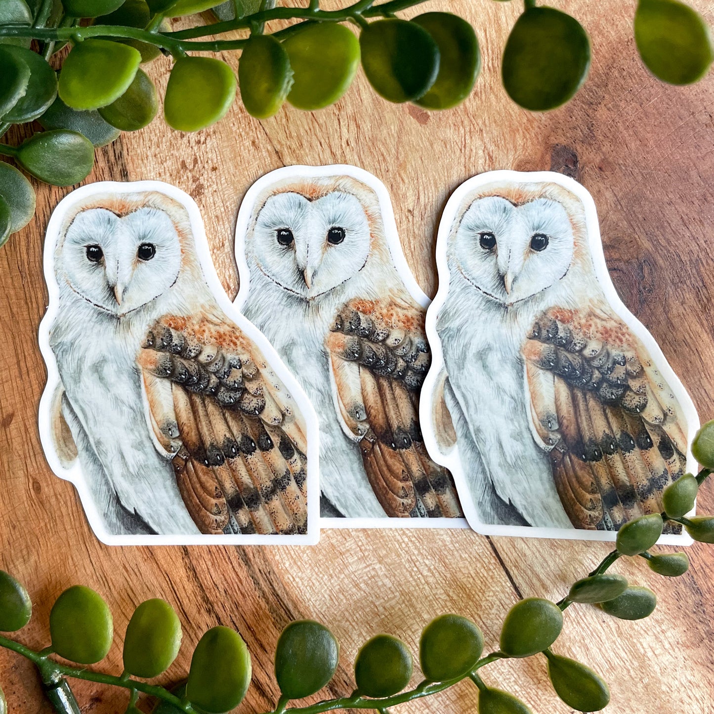 Barn Owl Waterproof Sticker